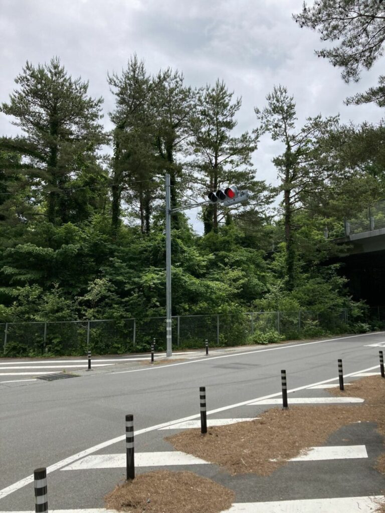 富士いち 富士五湖と忍野八海を巡る富士山一周１５０キロの旅 ろんぐすき